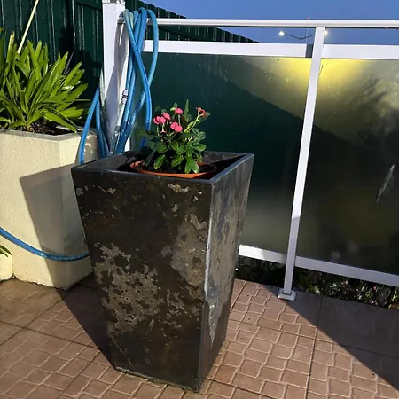 Сasa de vacaciones View Camelias House By Sixtyfive Boutique