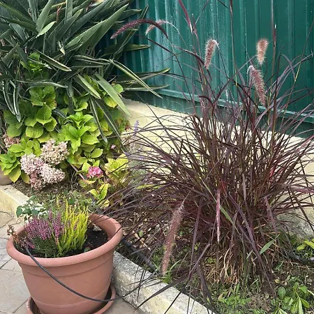 Dom wakacyjny View Camelias House By Sixtyfive Boutique Ericeira