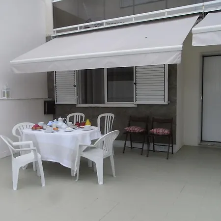 View Camelias House - Sixtyfive Boutique * Ericeira