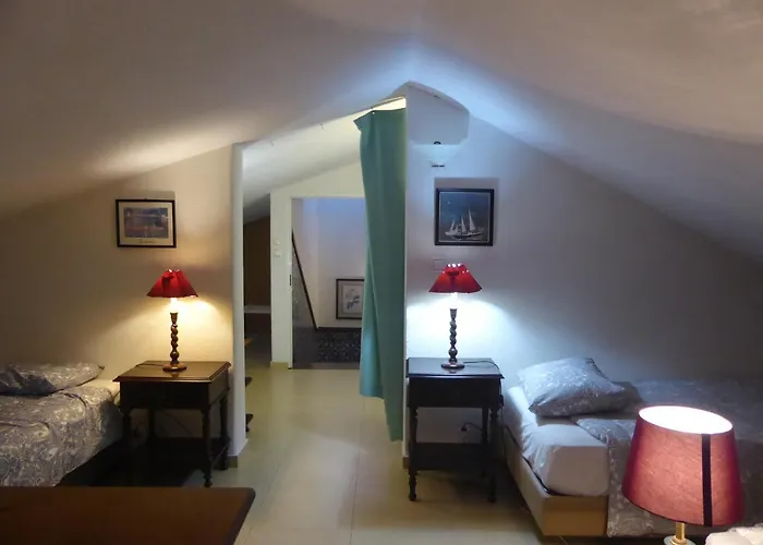View Camelias House By Sixtyfive Boutique