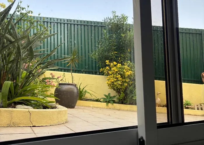 View Camelias House By Sixtyfive Boutique *